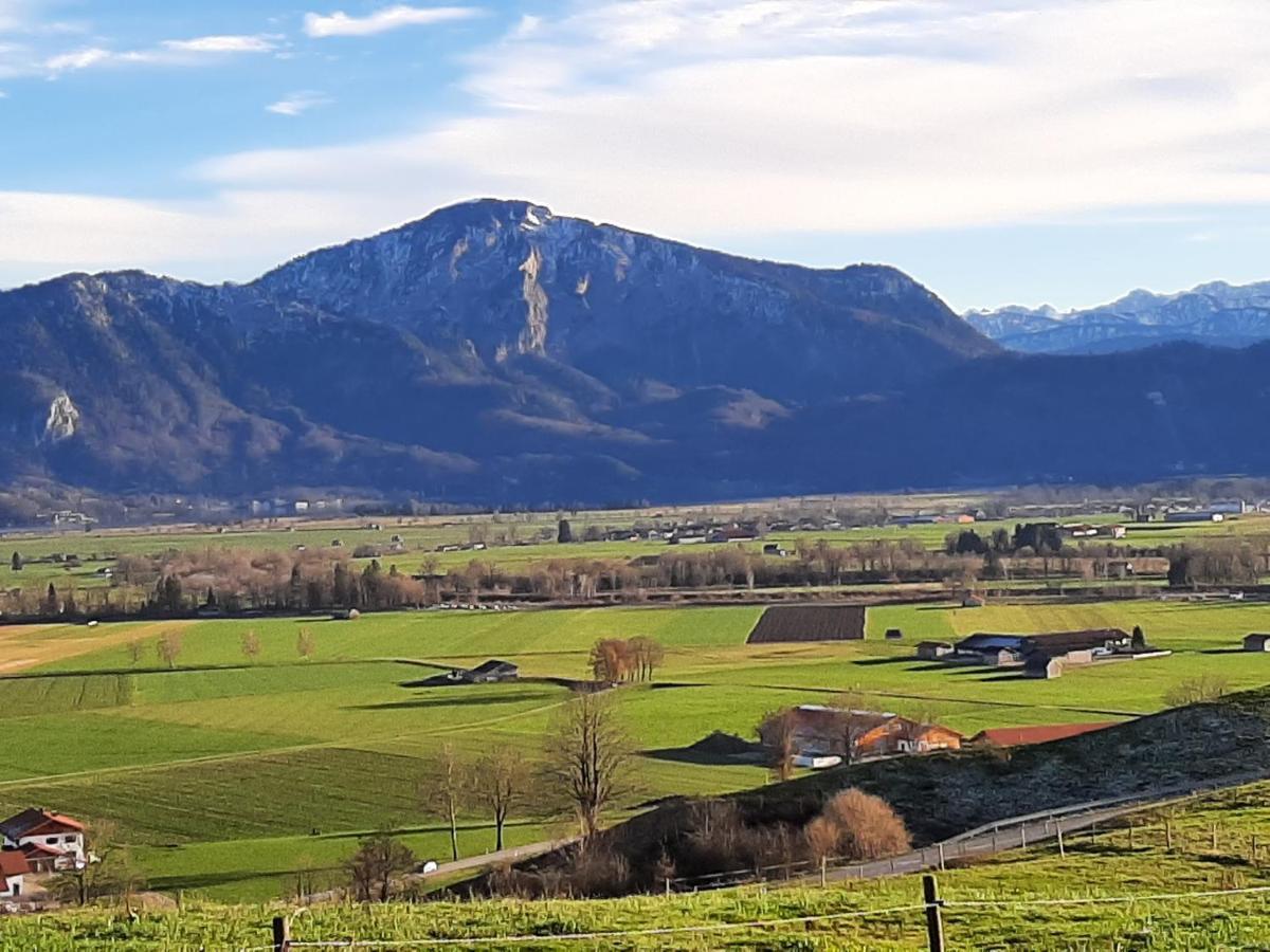 Hotel Alpspitz B&B Grainau Eksteriør bilde
