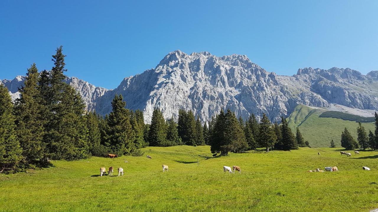 Hotel Alpspitz B&B Grainau Eksteriør bilde